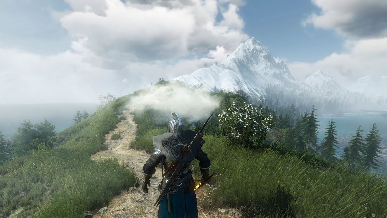 Weight mod the witcher 3 фото 103