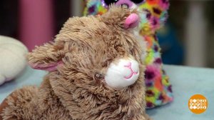 Кто живет в игрушках? Доброе утро. Фрагмент выпуска от 05.01.2021