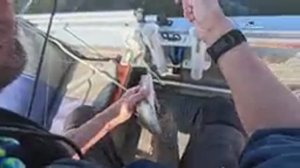 Фокино. Рыбалка 23.08.2024