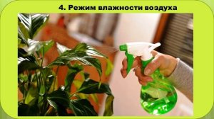 Уход за цветами - СБО