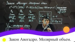 23. Закон Авогадро. Молярный объем. 8 класс.