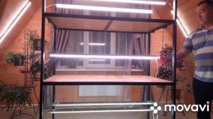 Сборно-разборный стеллаж для рассады,своими руками?