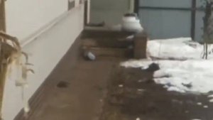 тепловизор своими руками для охоты часть 3