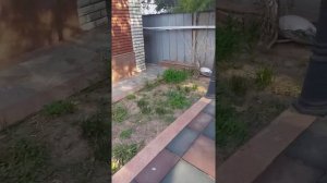 Каменское плато  Алматы