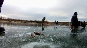 Лучшие моменты на зимней рыбалке! Зимняя рыбалка / Трофейная рыбалка