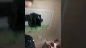 Тарабарский язык.