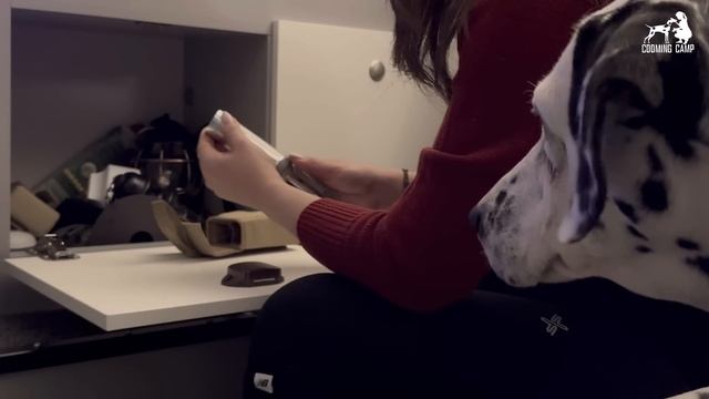 -17℃ 폭설 내리는 얼어붙은 강변에서 아늑한 겨울 트럭캠핑?❄️ 동계 미니멀 차박?힐링 감성 요리 ASMR I 노지를 즐기는 고독한 솔로캠퍼 쿠밍 I 반려견 달마시안 쿠키 смотреть онлайн