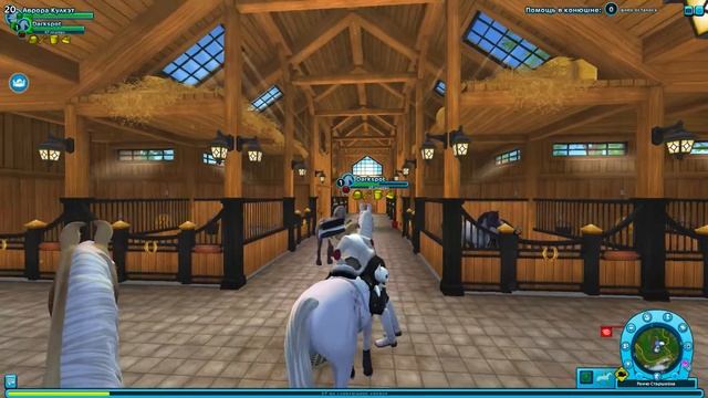 Покупка Марвари | Новые масти марвари | The update in Star Stable Online