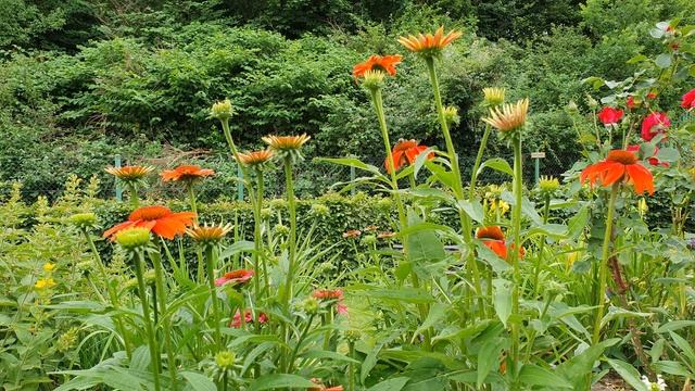 Видео заставка - дачный участок. Пианино. Дача в Германии. Video screensaver. Piano. 4К Видео смотреть онлайн