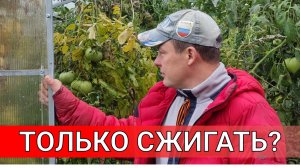 ЧТО БУДЕТ ЕСЛИ БОТВУ ТОМАТА ЗАКОПАТЬ В ГРЯДКУ ИЛИ БОТВУ ТОМАТА ТОЛЬКО СЖИГАТЬ.mp4