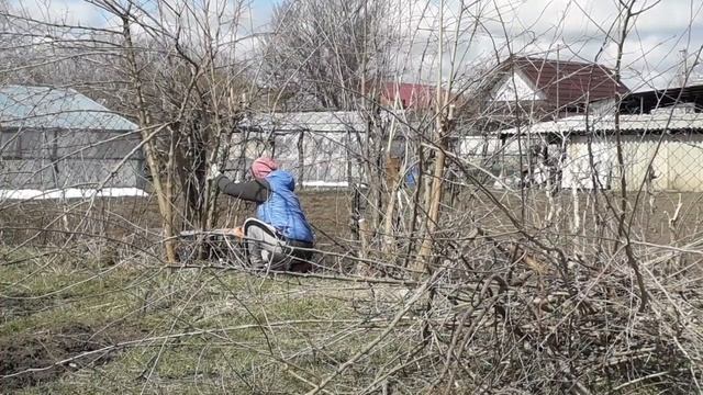 Огород будет в порядке!. Ветки козам.