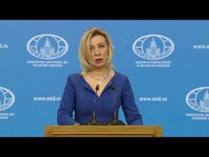 Брифинг М.В.Захаровой, 15.02.2017 г.