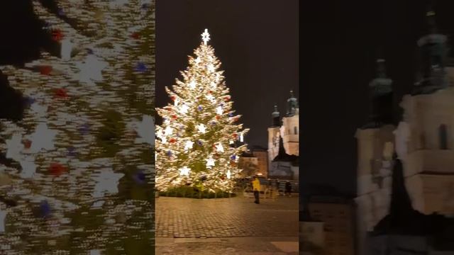 Зажжение рождественской елки на Староместской площади в Праге - 2020