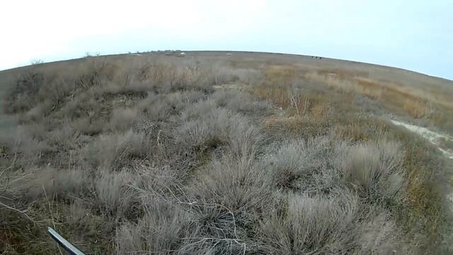 охота ,заяц, тоз -34 11-01-2018 смотреть онлайн