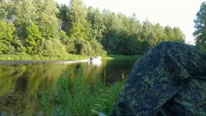 Приток реки Волхов, в Ленинградской области / моторная лодка / Кириши рыбалка / #кириши