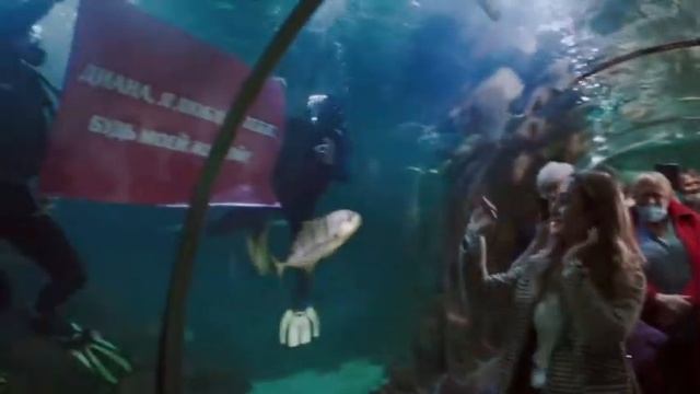 Предложение в океанариуме Сочи смотреть онлайн