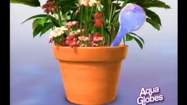 Aqua Globes 60 Second TV Spot смотреть онлайн