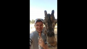 Тунис 2019, Сусс