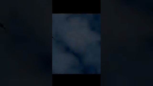 Звуки чаек и шум моря