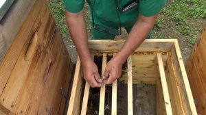 Семья трутовка?   Попробуйте метод братьев Чебуздиных