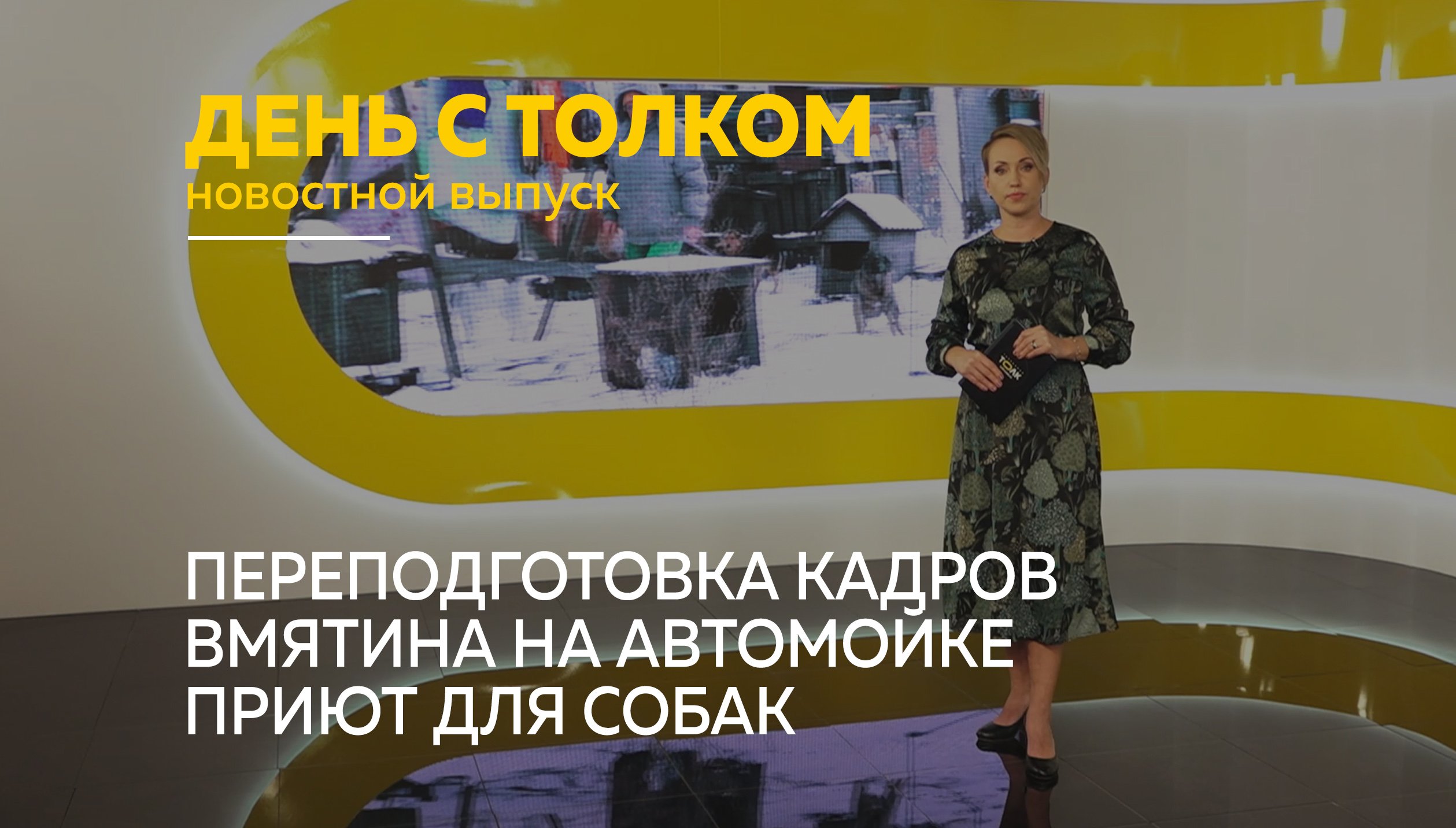 «День с Толком». 17.11.2022