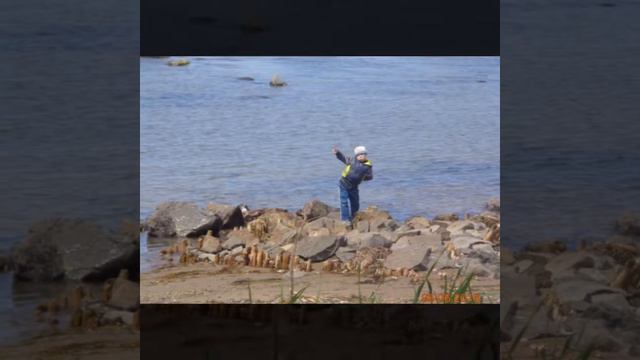 Леше в день рОжденье! смотреть онлайн