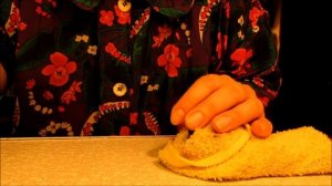 Попытки научить стрижа самостоятельно кушать