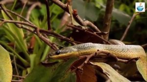 Интересная природа. Факты о планете. Нас уже 100