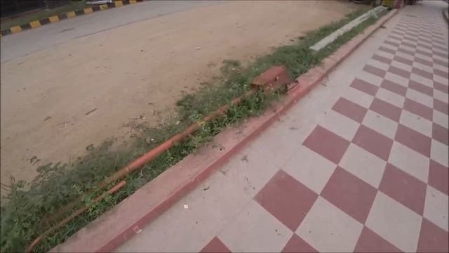 16. Без мужа трудно: я и покупай, я и снимай... Овощной рынок в Путтапарти 21 августа 2021 г. смотреть онлайн