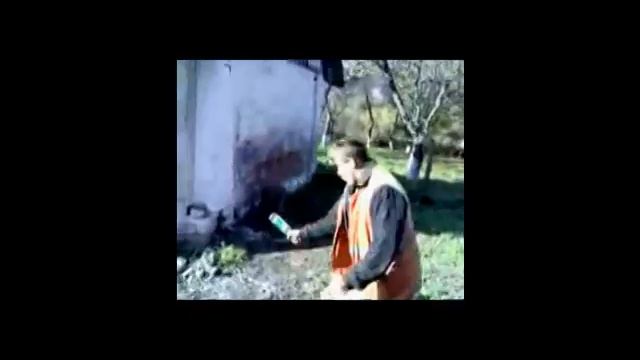 Вася рапортует . смотреть онлайн