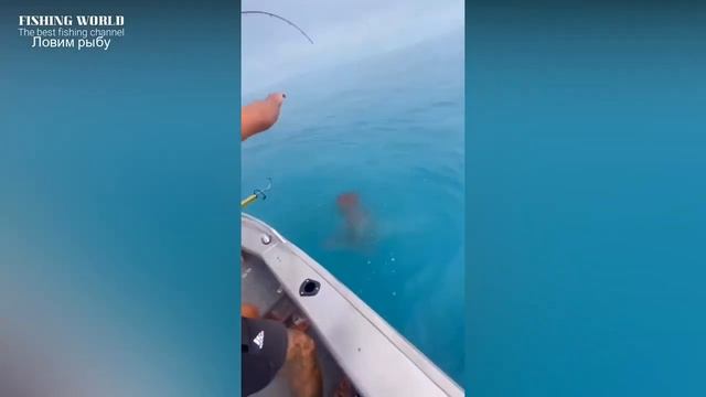 Угарные приколы на рыбалке НЕОЖИДАННЫЕ СЛУЧАИ НА РЫБАЛКЕ Я РЖАЛ ДО СЛЕЗ Unexpected fishing incident смотреть онлайн