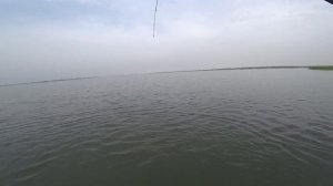 Ловля сазана.