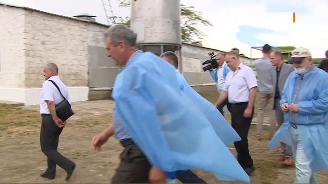 Зелёные коврики для птицы. 6 соток 21.06.2021 смотреть онлайн