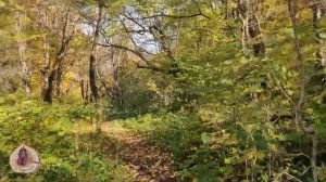 Туризм в Ахметовской, что посмотреть? Ласточкино гнездо и Круглое озеро. #ахметовская