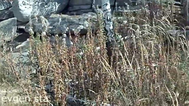 Russian Megaliths. Мегалитическая стена в России. Мои путешествия по Уралу