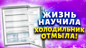 Старый холодильник блестит ?и сияет?, и даже нет постороннего запаха? - жизненный опыт? мудрой х