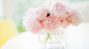 Видеоурок Бумажный пион. Как сделать цветок