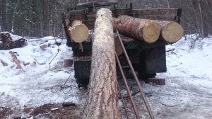 Погрузка леса через дерево...