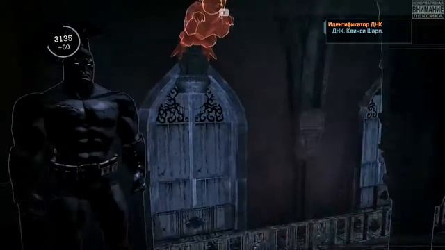 Batman: Arkham Asylum #8 #Ядовитый плющ
