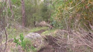 Raw MTB Riding in Roleystone