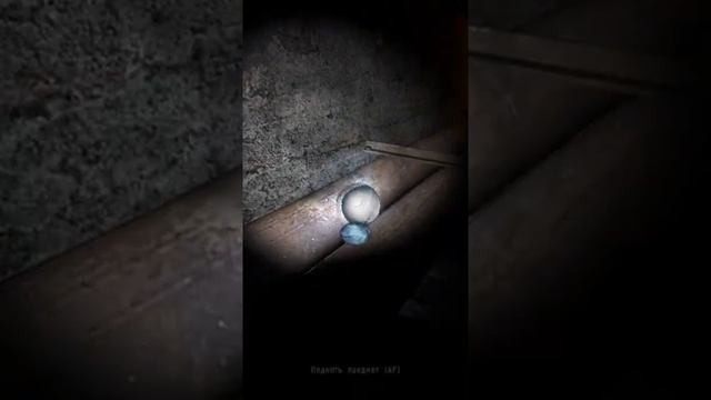 Клондайк артефактов на выносливость - Сталкер: Тень Чернобыля #Shorts смотреть онлайн