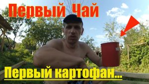 Первый картофан // Первая партия чая // Строим дровник // Жизнь в деревне