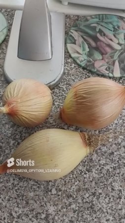 Сибирь. Лук Эксибишен сохранился до июня месяца!