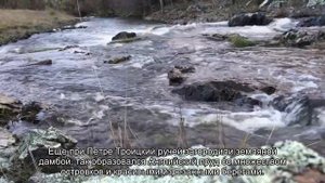 О достопримечательностях Петергофа: что посмотреть за 1 день в первую очередь