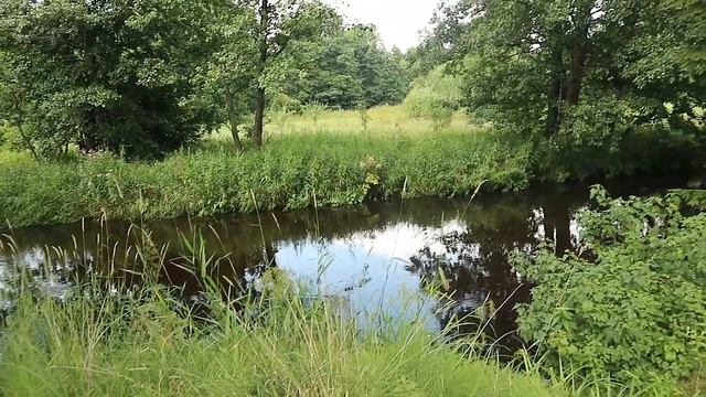 Люби себя правильно Люби себя с пониманием кто ты есть