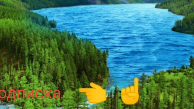 Шукурулло домло туй хакида уйланмакчи булган йигитлар эшитсин.