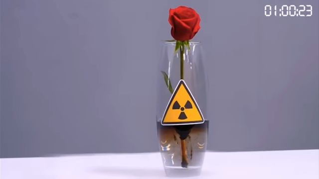 эксперимент