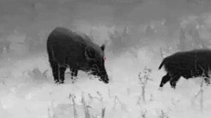 Guide TU650, 55 метров