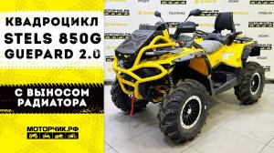 Квадроцикл Stels ATV 850G Guepard Trophy PRO EPS