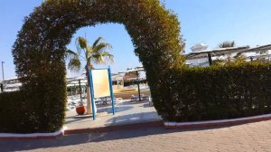 Dreams Beach Resort Sharm El Sheikh 5*, февраль 2017 #египет #отель #отдых